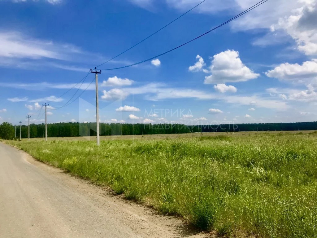 Участки под ижс в свердловской. Участок земли. Фото участка. Фото участка земли. Земля ИЖС картинки.