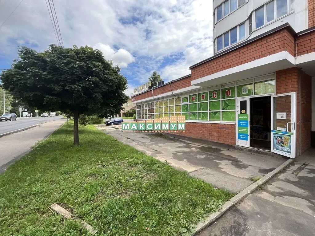 ПСН 360 кв.м. в г. Домодедово, ул. Гагарина, д.58 - Фото 1