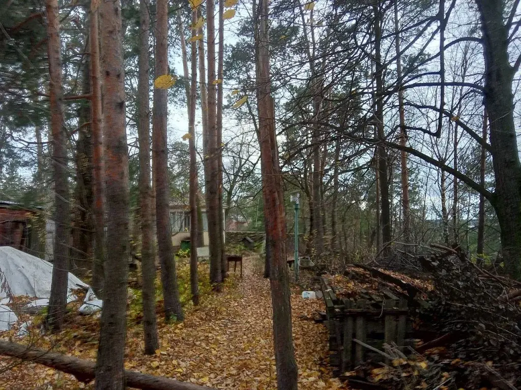 Участок на высоком берегу Москва - реки в Барвихе, Рублевка 5 км. - Фото 12