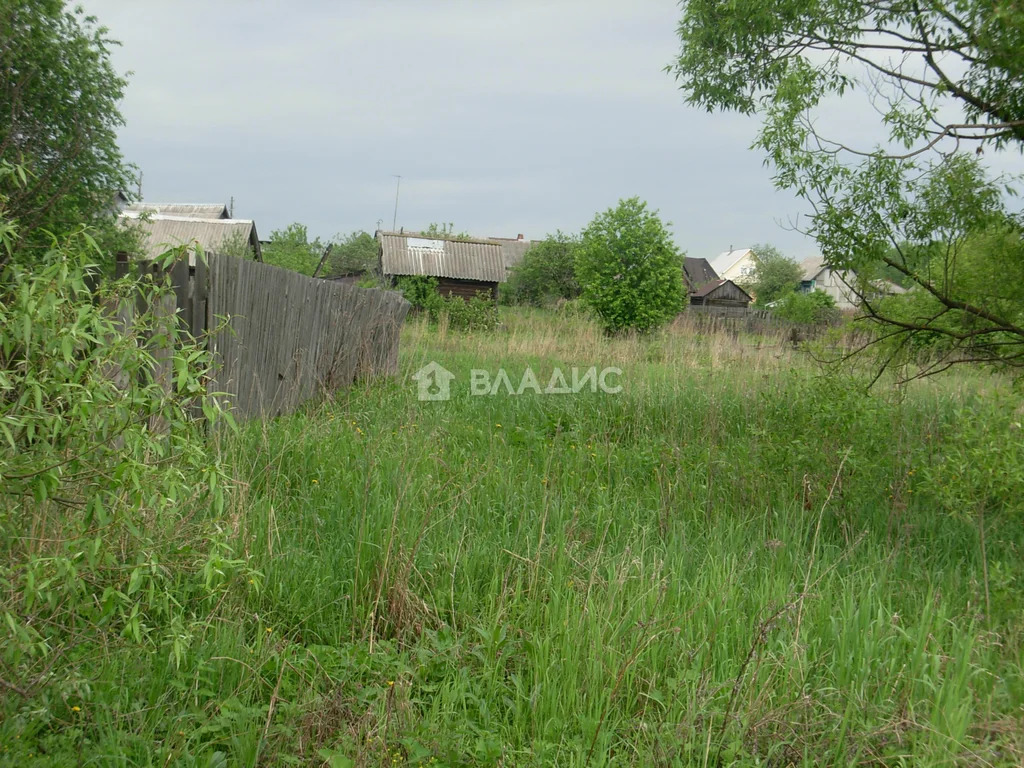 Судогодский район, деревня Аннино,  земля на продажу - Фото 1