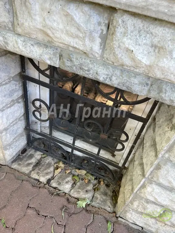 Продажа жилого дома в Дубовое - Фото 18