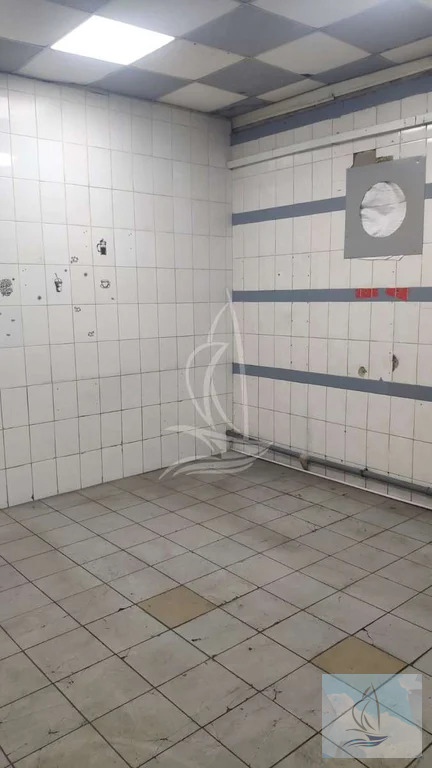 Аренда торгового помещения, Подольск, Подольск - Фото 14