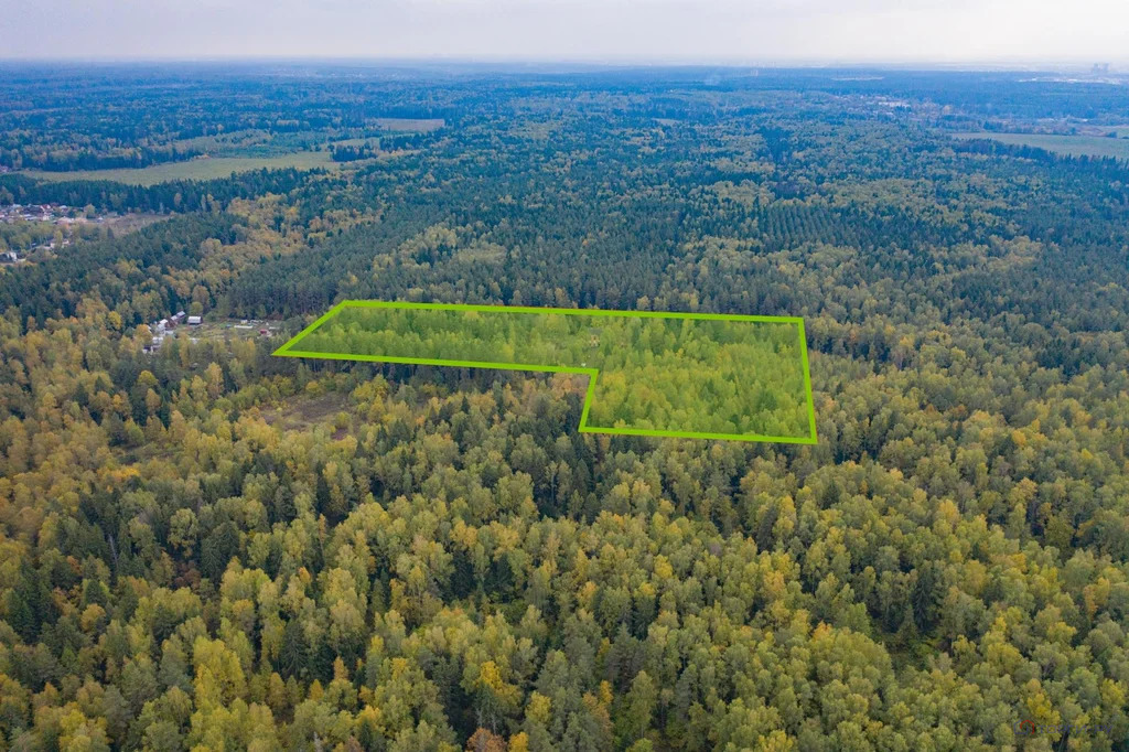 Продажа земельного участка, Лесной - Фото 1