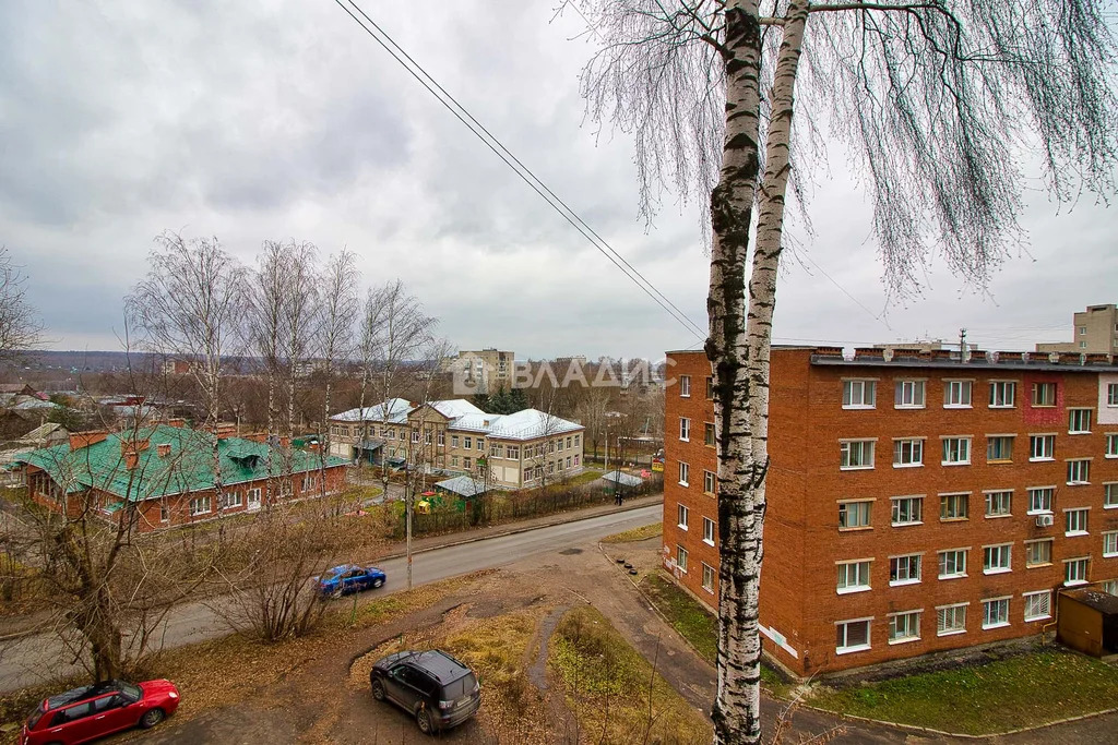 городской округ Владимир, улица Алябьева, д.20, 3-комнатная квартира ... - Фото 21