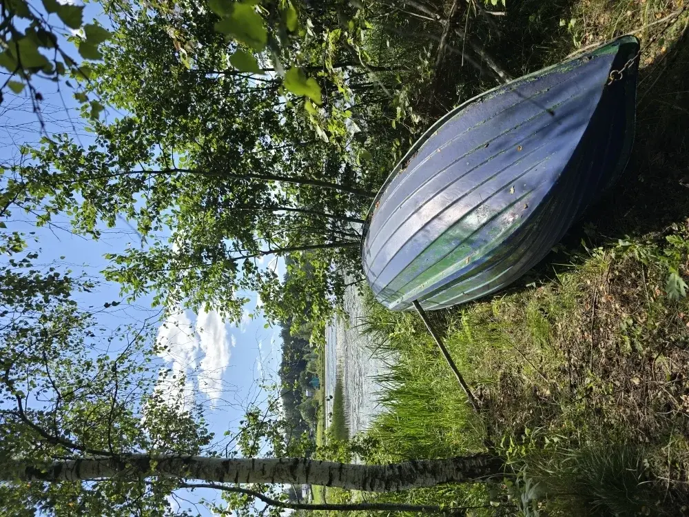 Продаю уч. 30 сот. с Семеновское - Фото 11