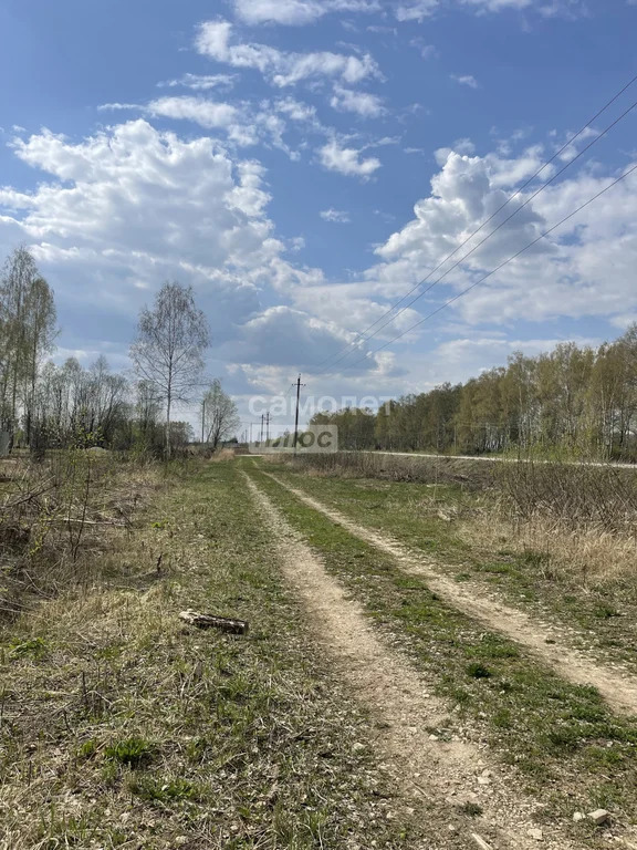 Продажа участка, Алешня, Ленинский район, ул. Центральная - Фото 5