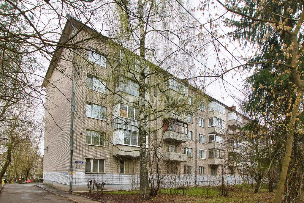 городской округ Владимир, улица Кирова, д.8, 2-комнатная квартира на ... - Фото 34