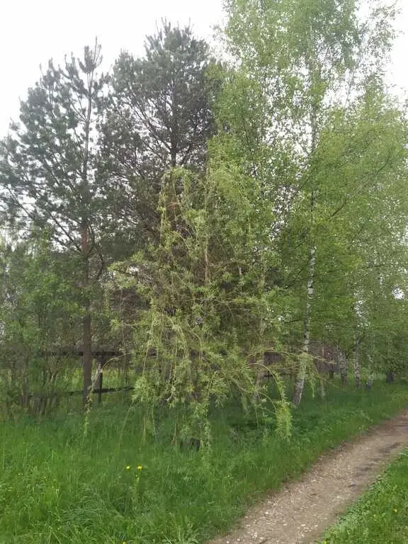 Продается дом - Фото 28