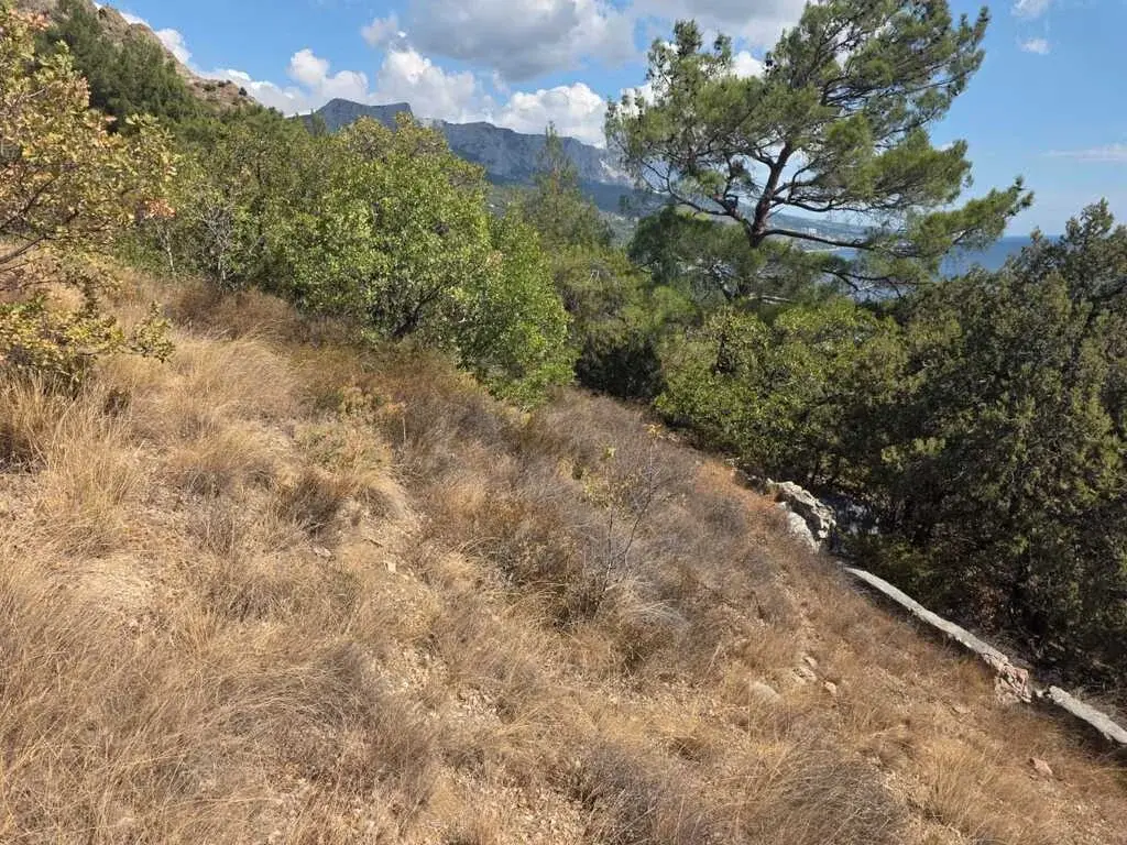 Продажа участка на Южном берегу Крыма (Форос)— первая линия у моря. - Фото 4