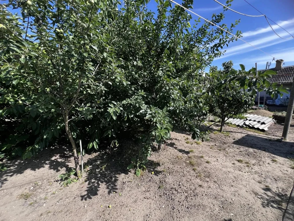 Продажа дома, Темрюк, Темрюкский район, ул. Мира - Фото 29