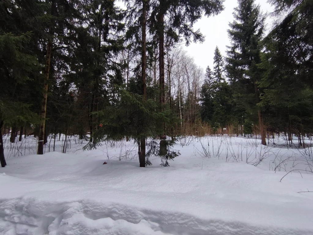 Продажа участка, НИИ Радио, Одинцовский район, Тыльная улица - Фото 3