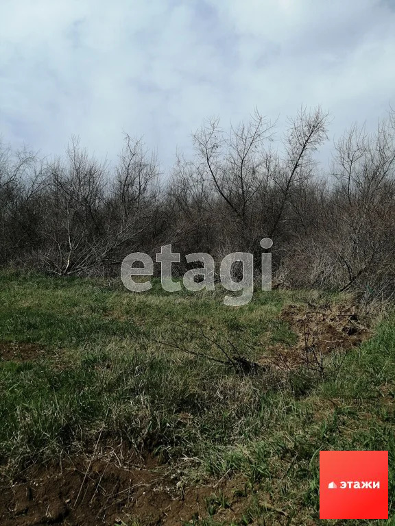 Продажа участка, Новофедоровка, Сакский район, Южная улица - Фото 4