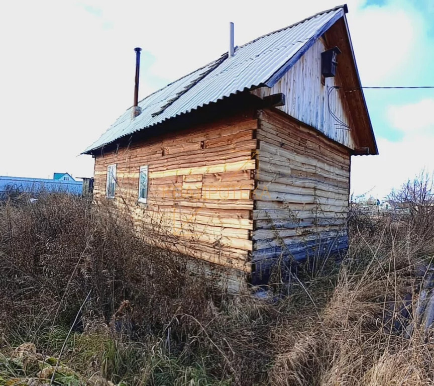 Карта новый шарап новосибирская область