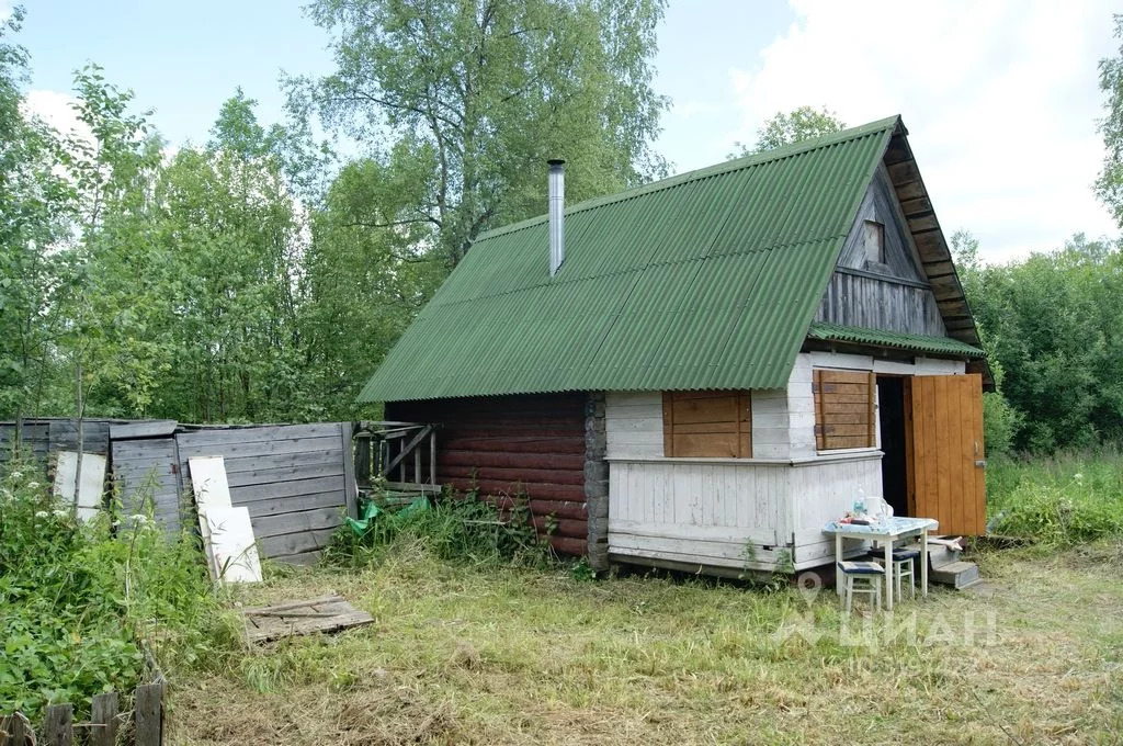 Погода в старой торопе тверская область