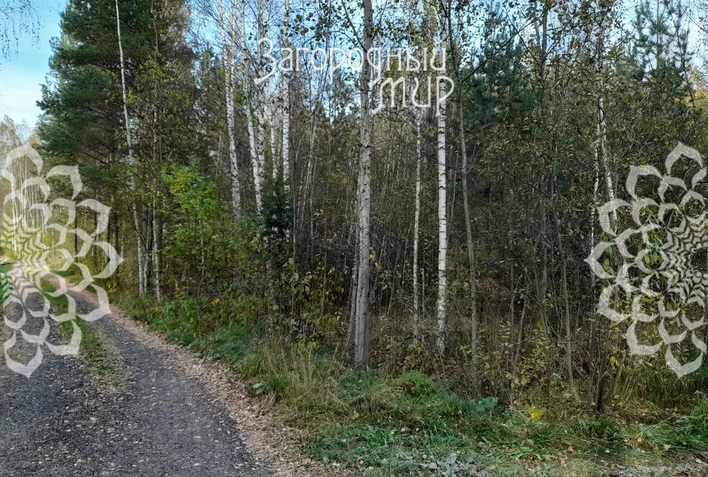 Продам участок, Дмитровское шоссе, 85 км от МКАД - Фото 3