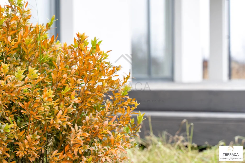 Продажа дома, Федоровское, Тосненский район, Николаевская улица - Фото 9