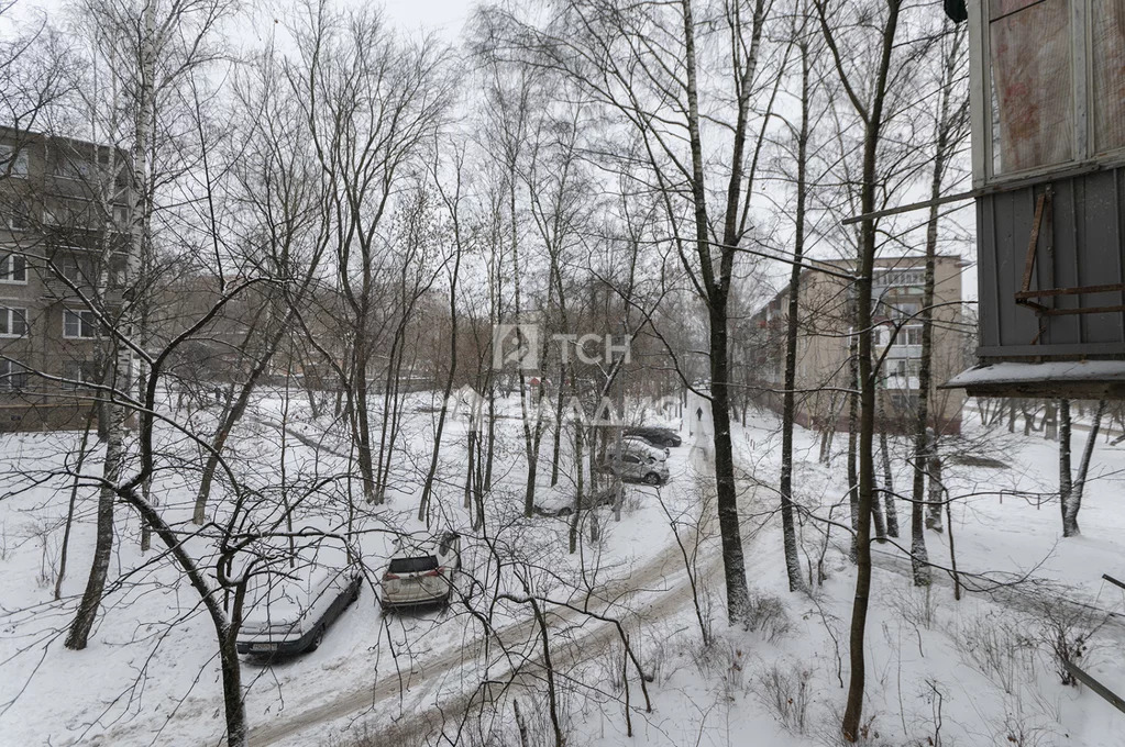 городской округ Щёлково, Щёлково, Сиреневая улица, д.6/1, 3-комнатная ... - Фото 10