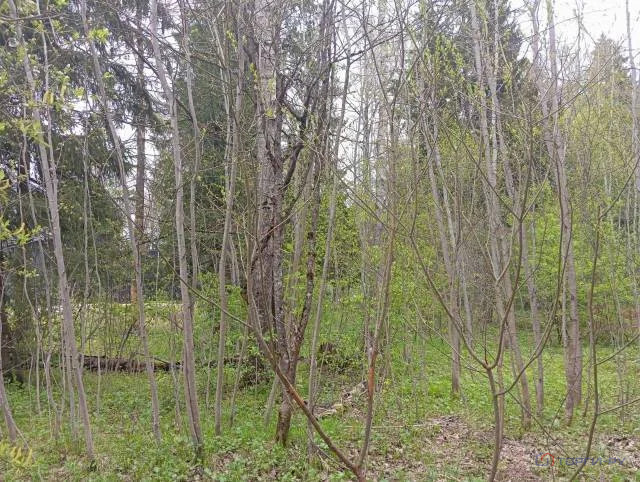 Продажа участка, Троица, Егорьевский район - Фото 3