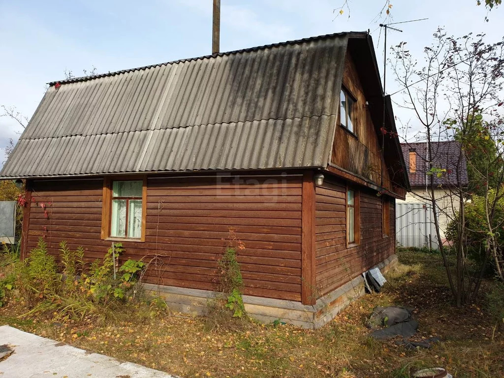 Дачи салаирский тракт. Купим дом по Салаирскому тракту в Тюмени.