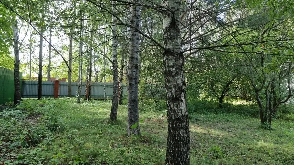 Лесной участок со старым домом на Рублевке , ИЖС, Молоденово - Фото 8