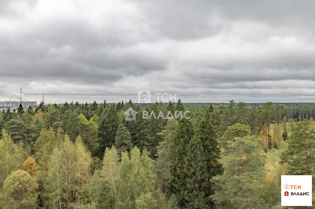 городской округ Мытищи, Мытищи, улица Стрельбище Динамо, д.10, ... - Фото 5