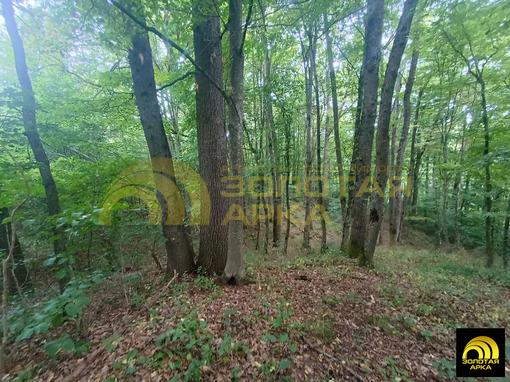 Продажа участка, Чибий, Северский район - Фото 8