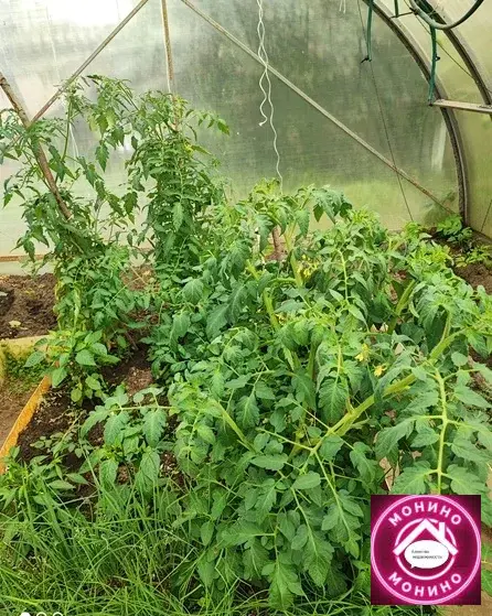 Продам дачу. - Фото 15