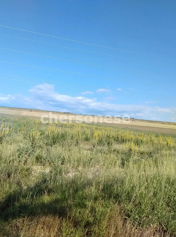 Продажа участка, Угловое, Бахчисарайский район, ул. Ленина - Фото 5