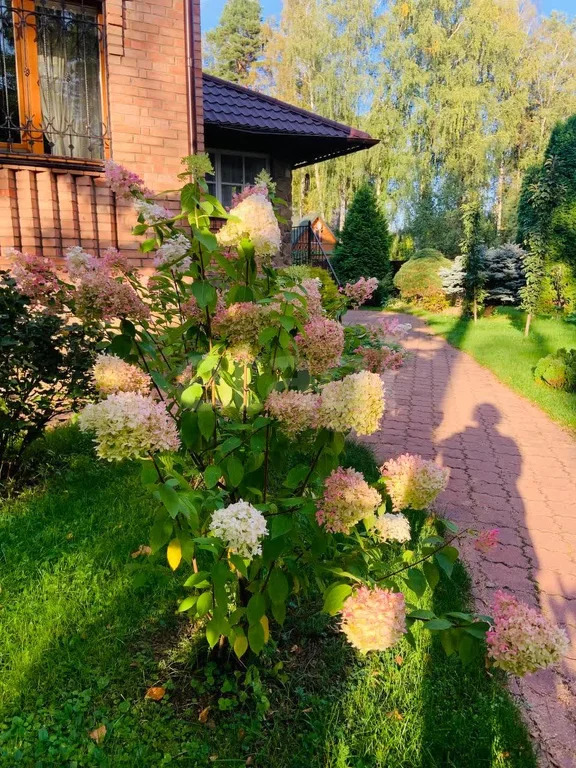 Продажа дома, Быково, Раменский район, ул. Македонская - Фото 15