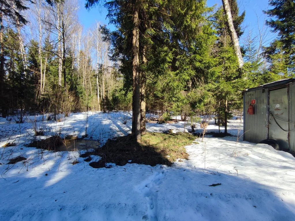 Продажа участка, НИИ Радио, Одинцовский район, Тыльная улица - Фото 3