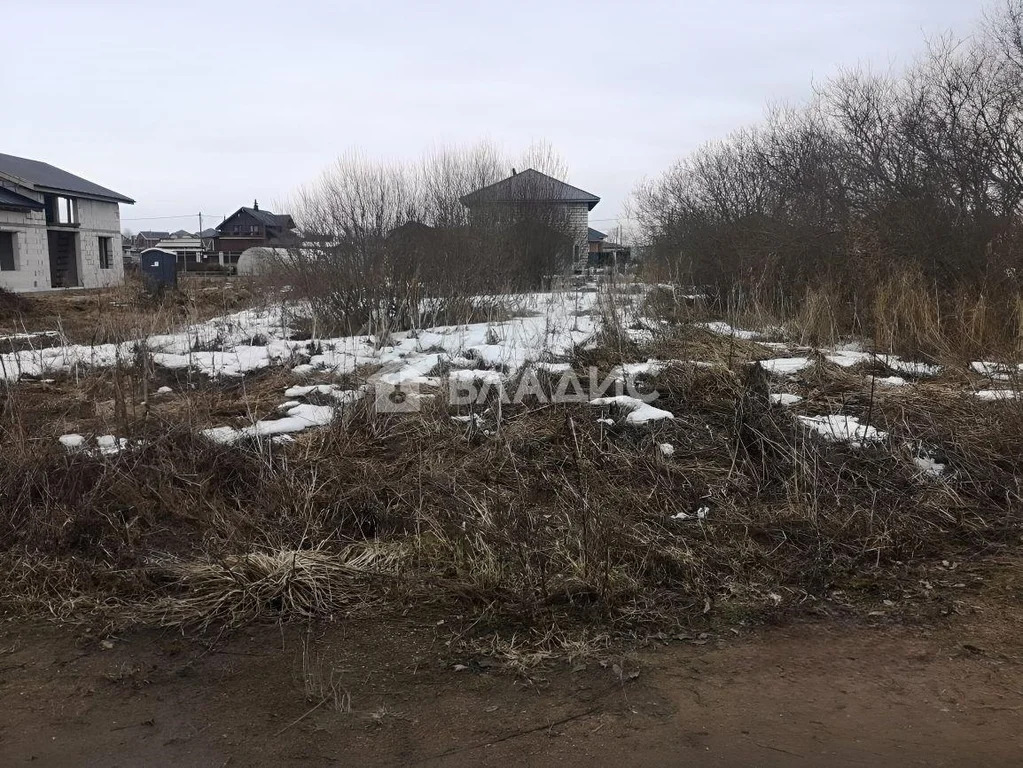 Ломоносовский район, деревня Сашино,  земля на продажу - Фото 0