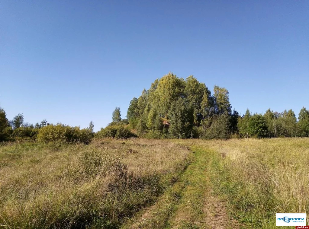 Продажа готового бизнеса, Плиссы, Невельский район, Псковская область, . - Фото 0