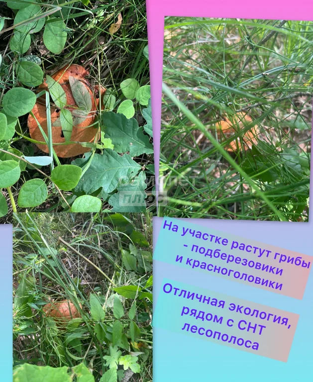 Продажа дома, Талдомский район - Фото 30