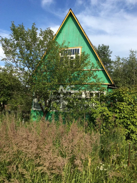 Купить Дачу В Ногинский Район