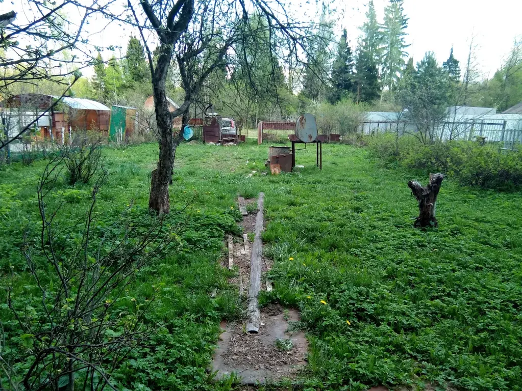 Затишье богородский. Посёлок затишье Ногинский. Ногинский р-н, п.затишье,. СНТ энергия участок. Ногинск п затишье.