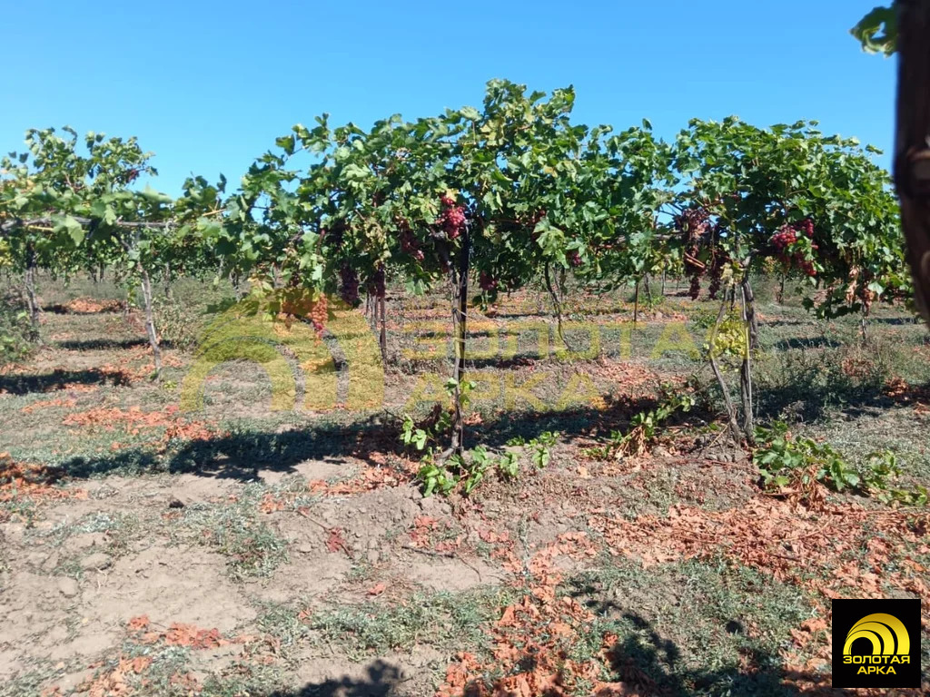 Продажа участка, Старотитаровская, Темрюкский район, Ильича пер. - Фото 13