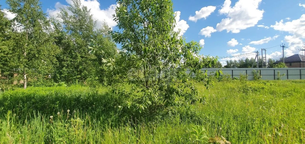 Продажа участка, Истринский район, СНТ Ламоново - Фото 8