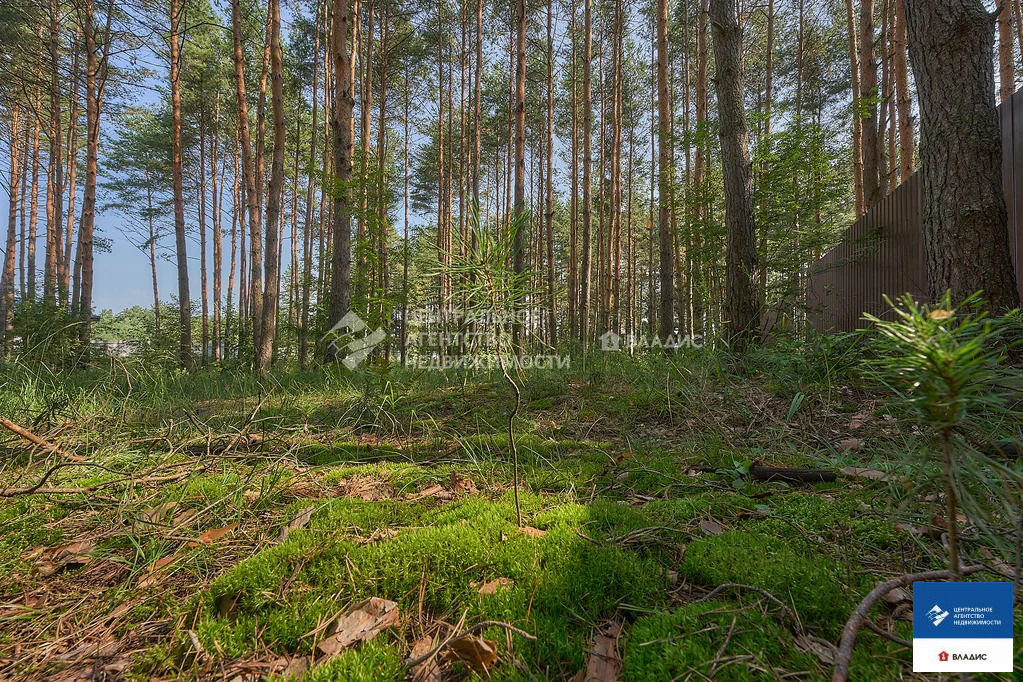 Продажа участка, Алеканово, Рязанский район - Фото 1