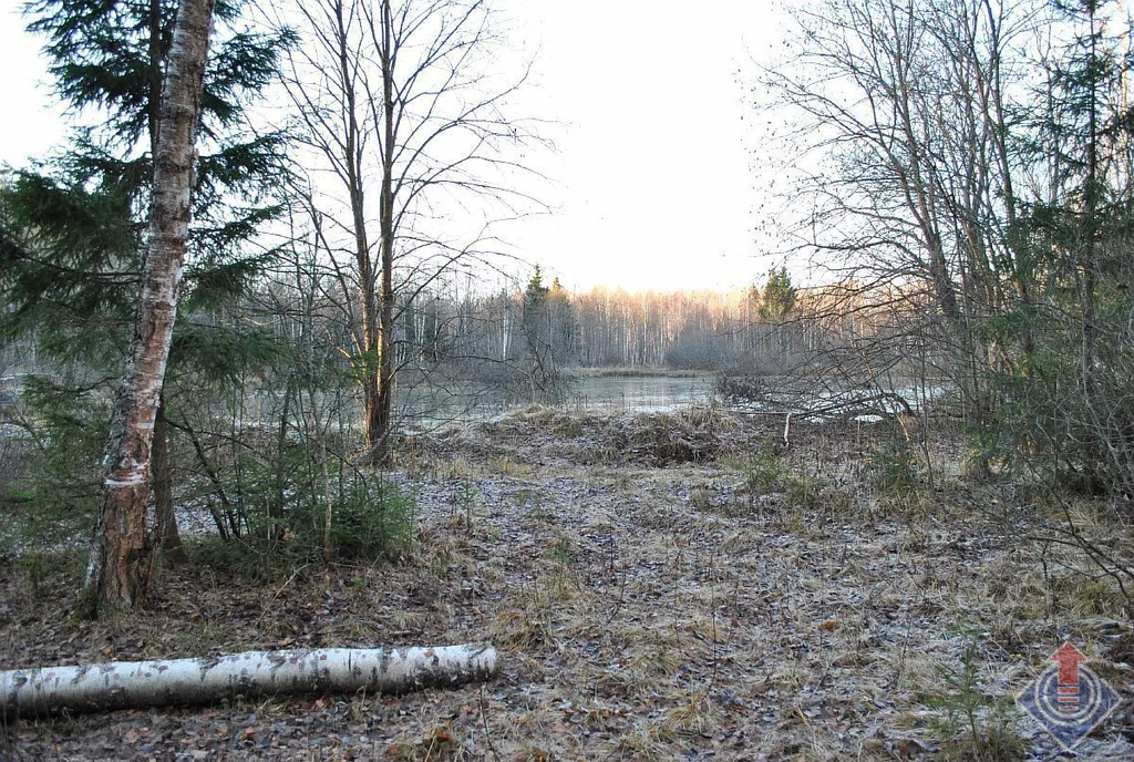 Земельный участок на лесной опушке в СНТ Родничок у д. Порядино - Фото 24