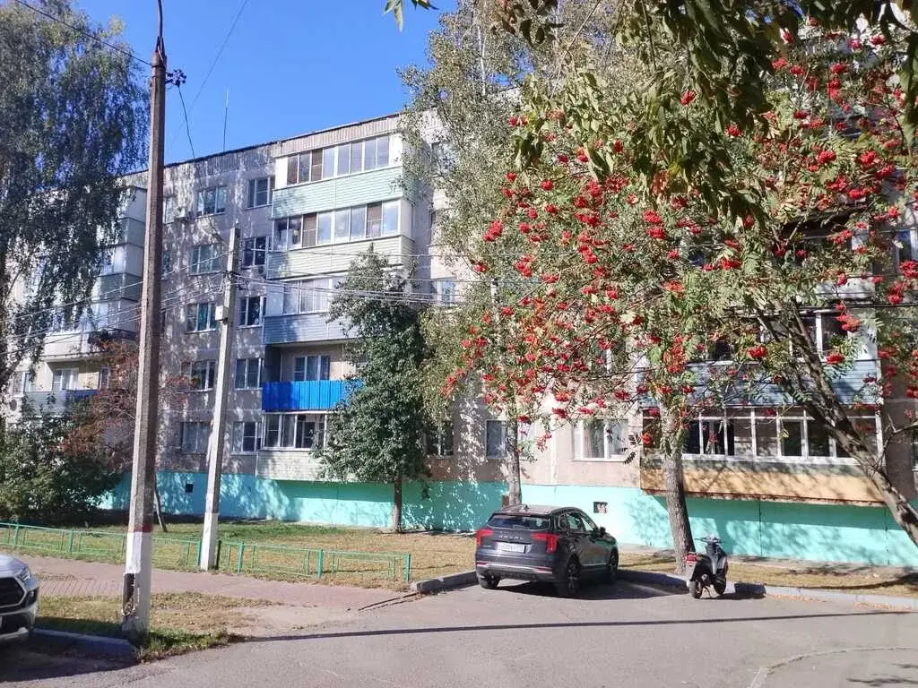 Пpодам 3-х к. квaртиpу в п. Электроизолятоp, д. 24 - Фото 20