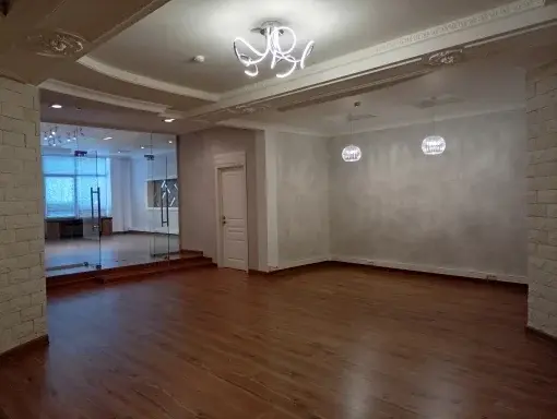 Офис 239  кв. м. - Фото 4