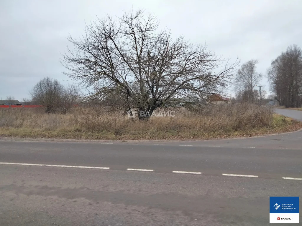 Продажа участка, Погост, Касимовский район, ул. Преображенская - Фото 9