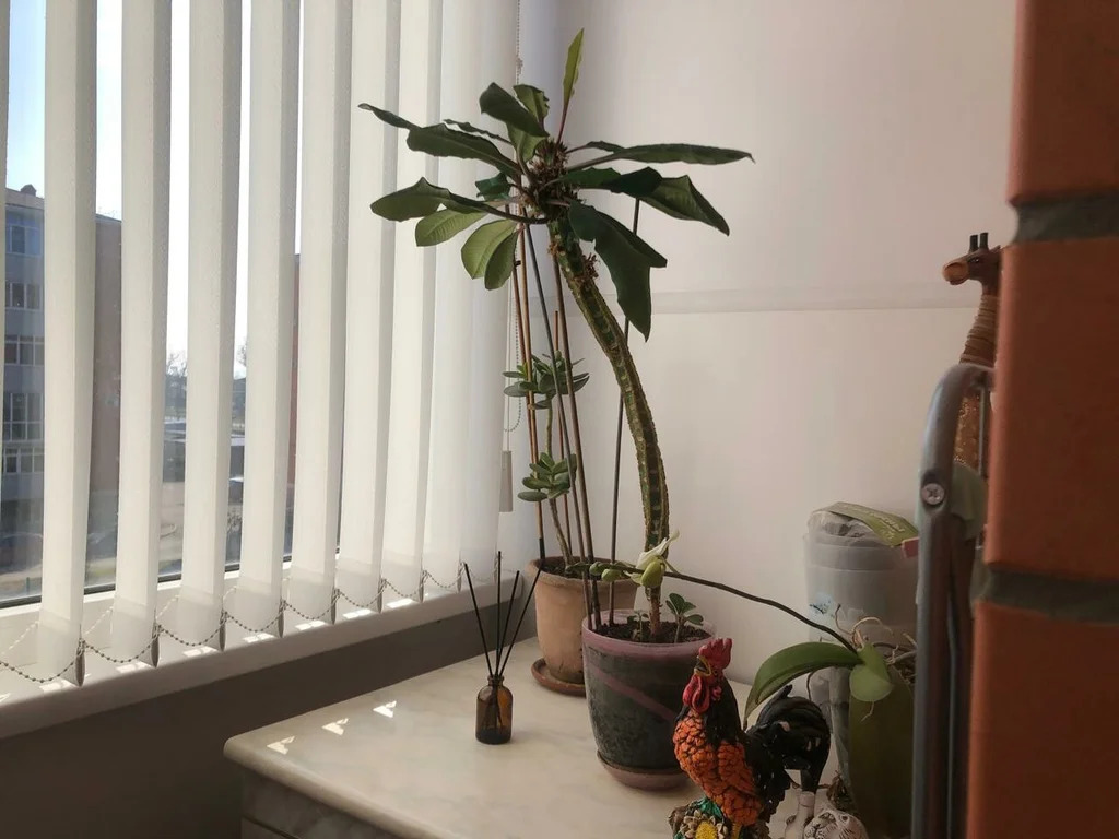 Продажа квартиры, Темрюк, Темрюкский район, ул. Анджиевского - Фото 11