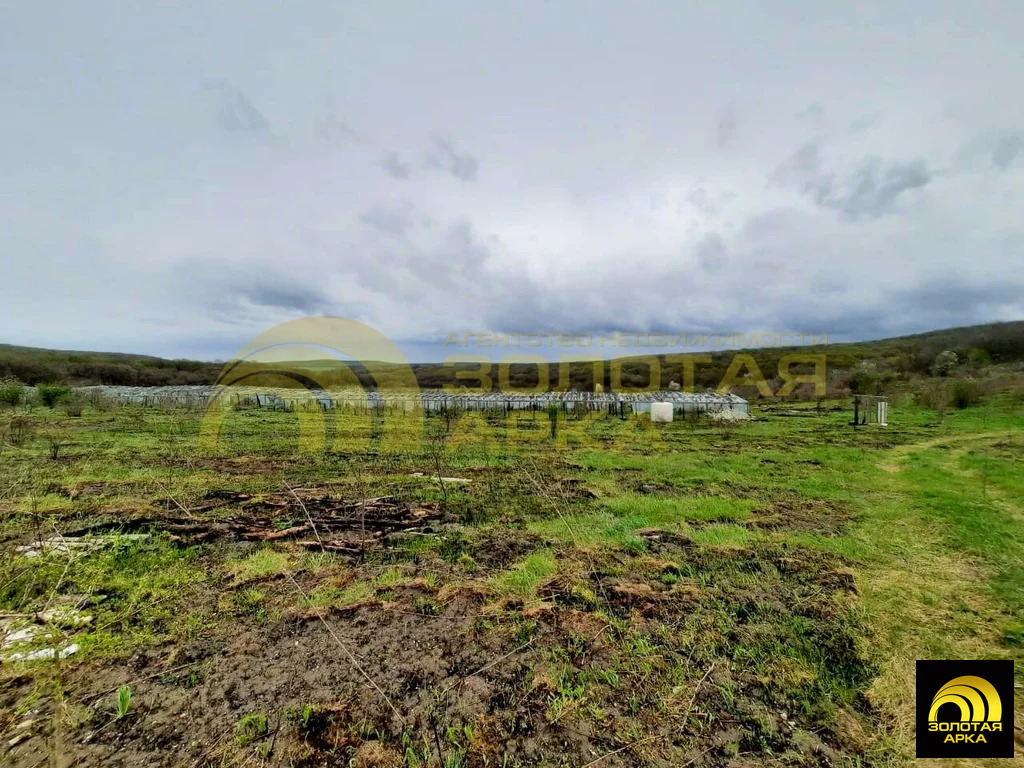 Продажа участка, Школьный, Крымский район - Фото 5