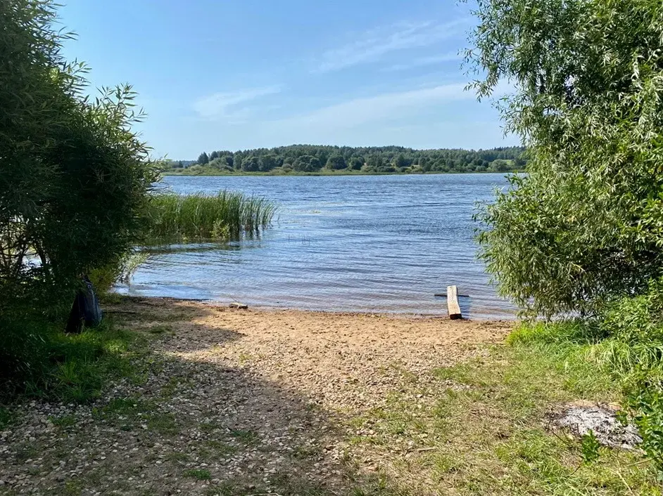 Руза Водохранилище Отдых Фото Домики Нововолково