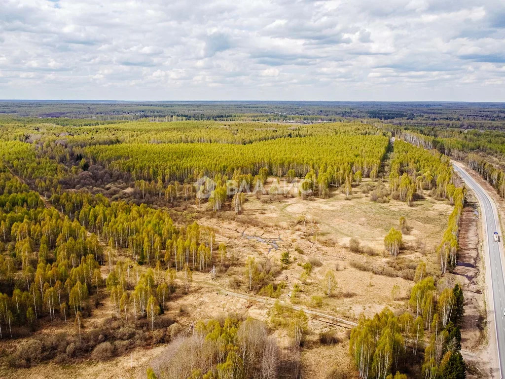Судогодский район, деревня Кощеево, земля на продажу - Фото 12