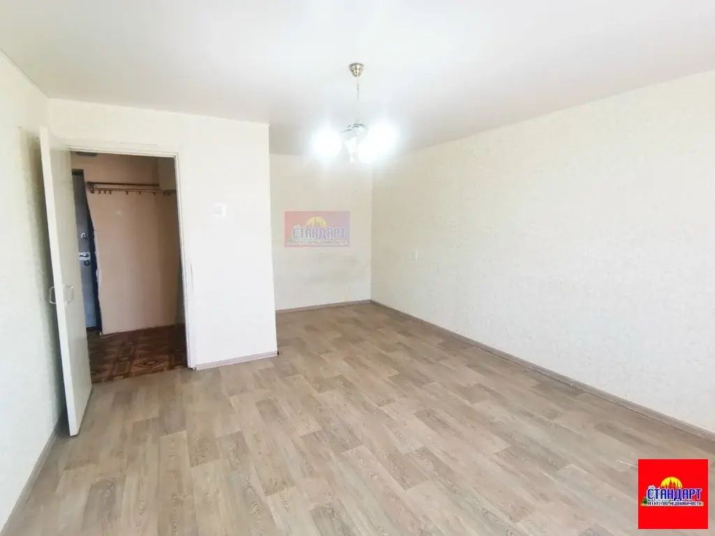 Большая однушка - Фото 4