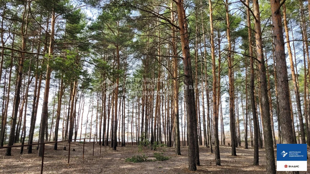 Продажа участка, Рязанский район - Фото 17