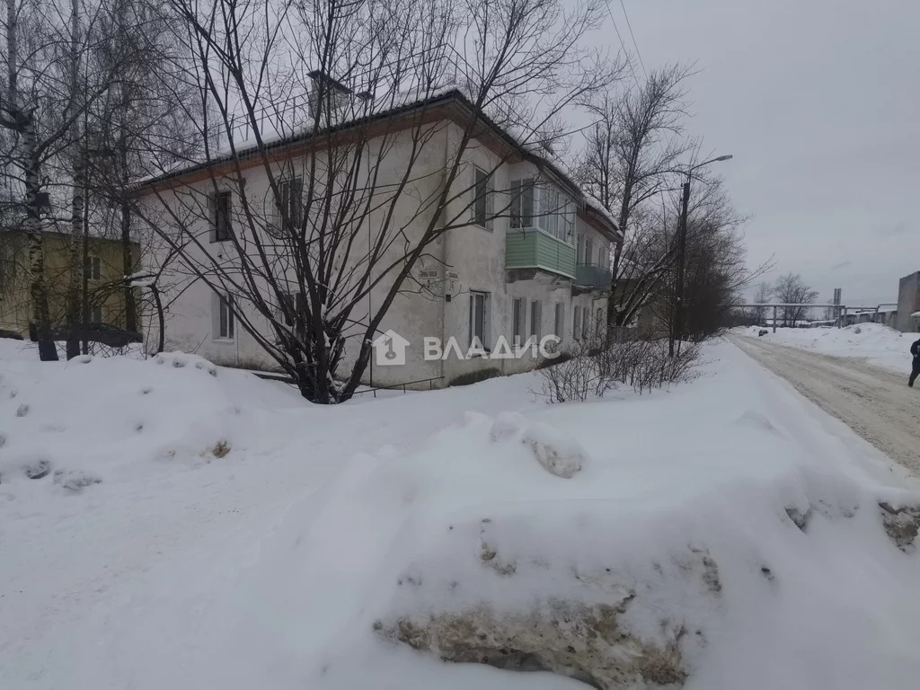 Гусь-Хрустальный район, Гусь-Хрустальный, улица Дружбы Народов, д.2, ... - Фото 37