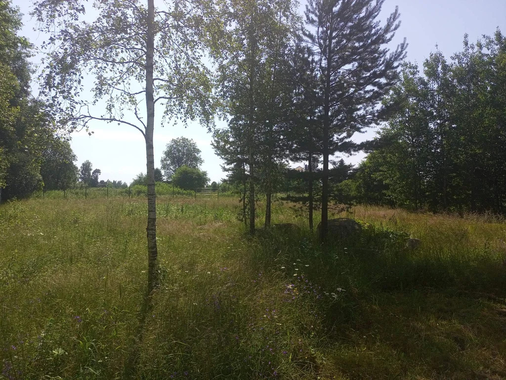 Продается земельный участок 23 сот. - Фото 9